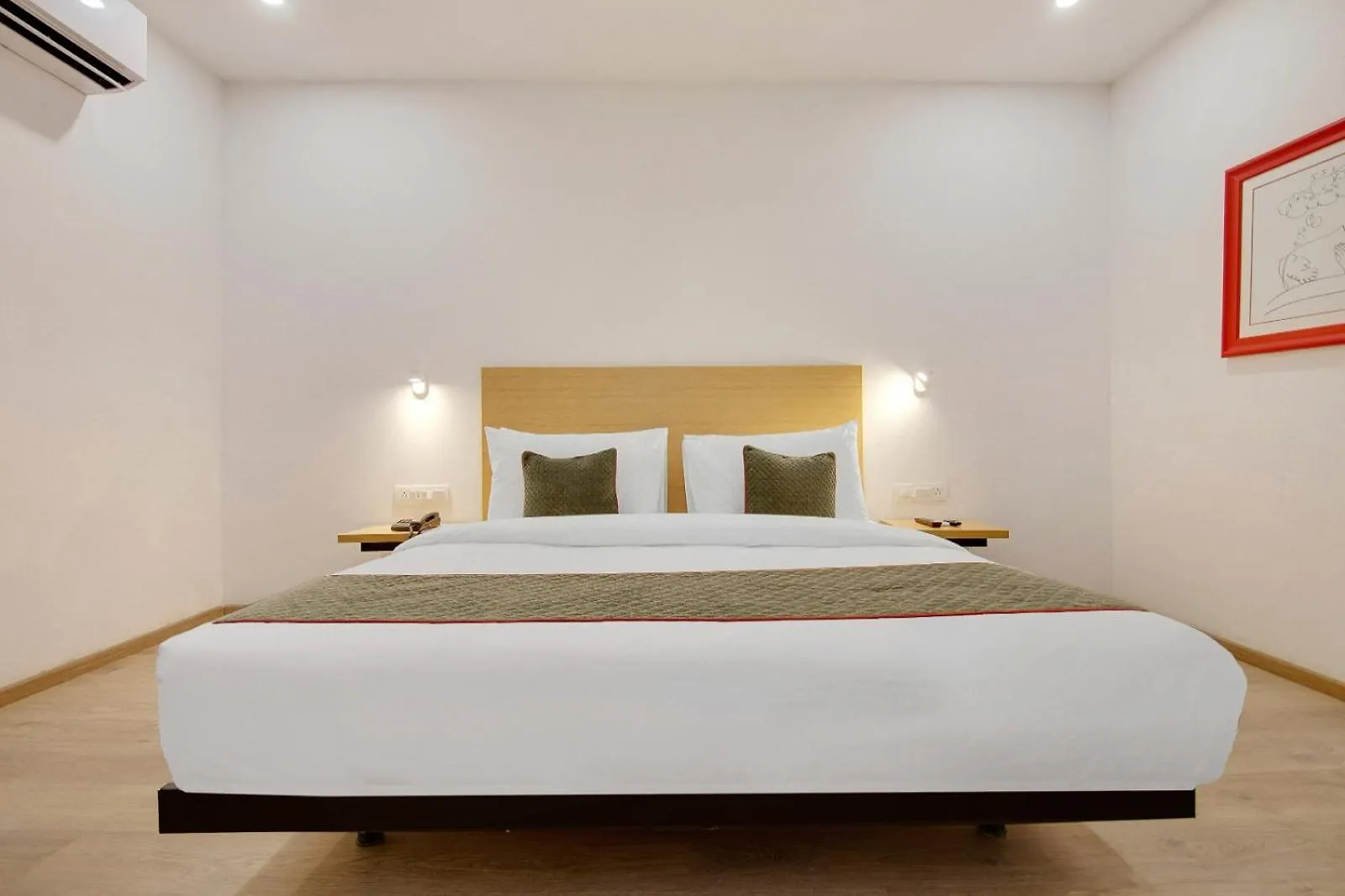 ****  Hotel King Plaza Near Delhi Airport New Delhi India
